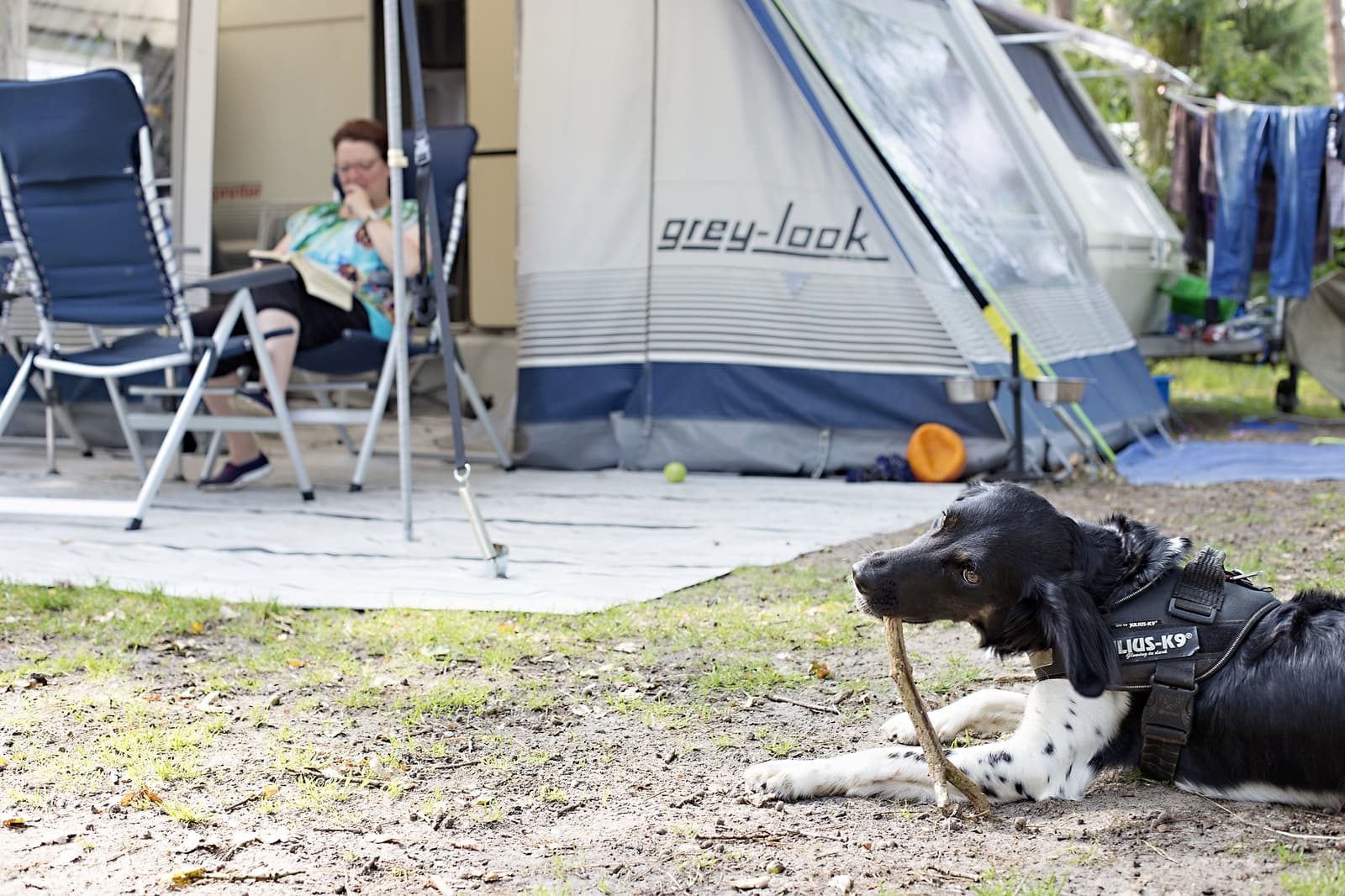 Honden toiletten in de buurt